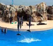 HongKong Parc de Mer