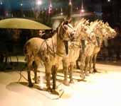 L'arm�e Terre Cuite